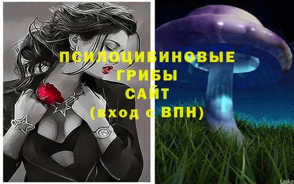mdpv Алзамай
