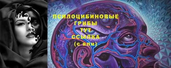 амф Алексин